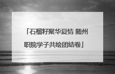 石榴籽聚华夏情 随州职院学子共绘团结卷
